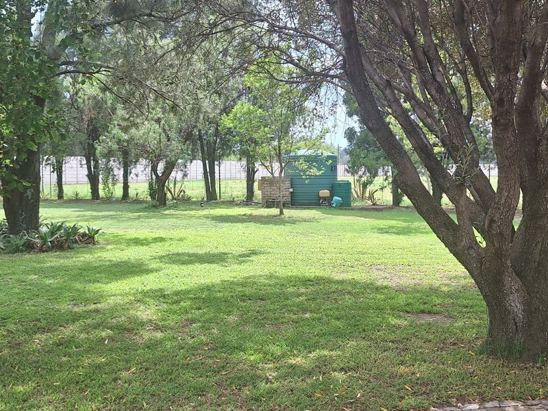 Smallholding near Vanderbijlpark town - Photo 5