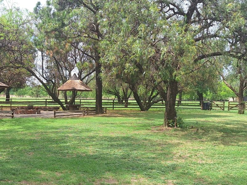 Smallholding near Vanderbijlpark town - Photo 4