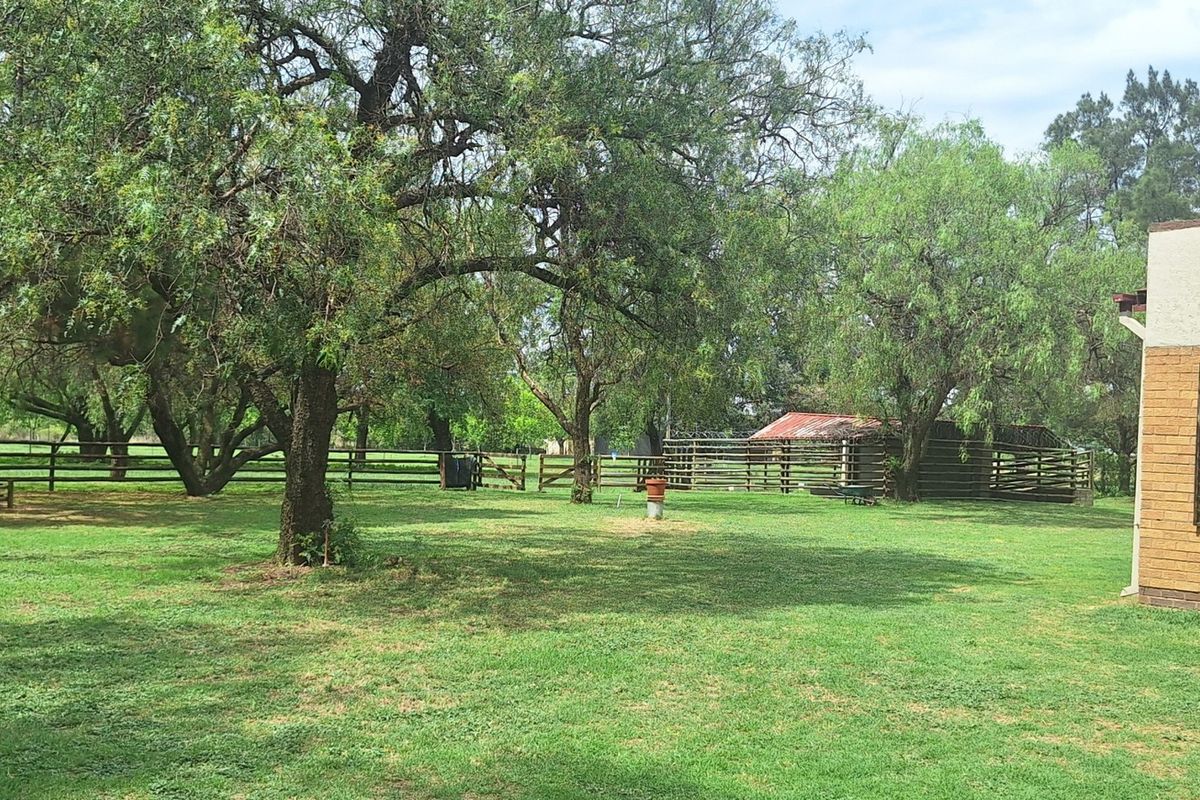 Smallholding near Vanderbijlpark town - Photo 3