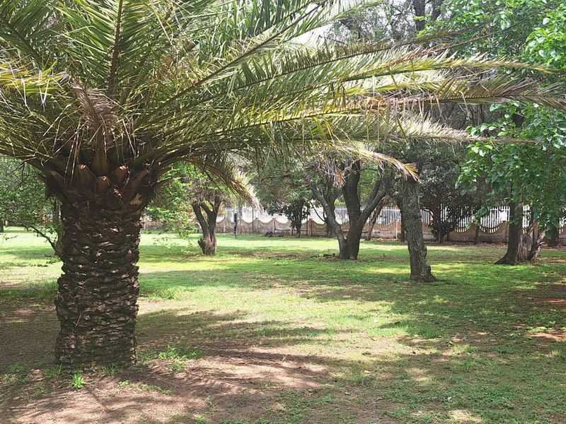 Smallholding near Vanderbijlpark town - Photo 10