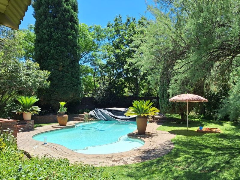 Smallholding near Vanderbijlpark town - Photo 8