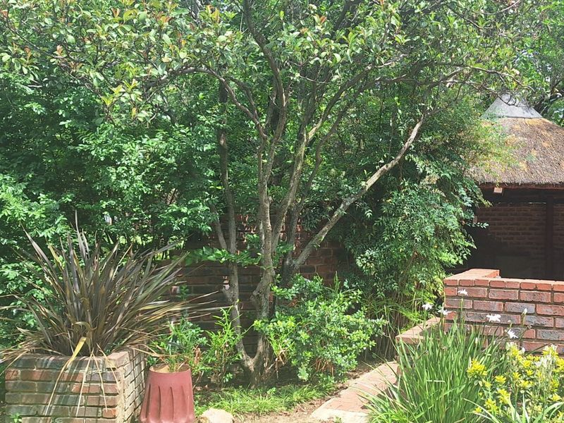 Smallholding near Vanderbijlpark town - Photo 7