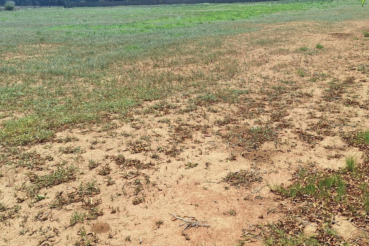 Vacant land - in Vanderbijlpark area - Photo 2