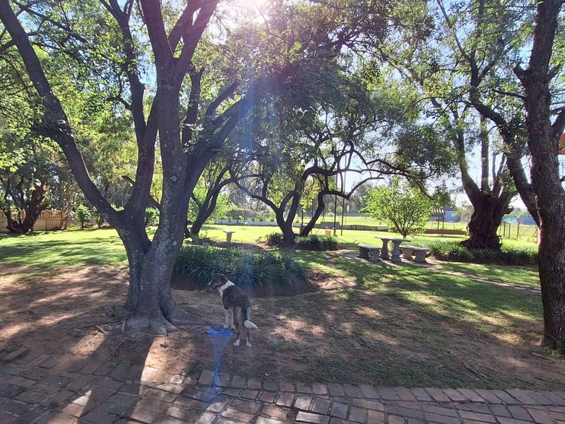 Smallholding in Vanderbijlpark area - Photo 5