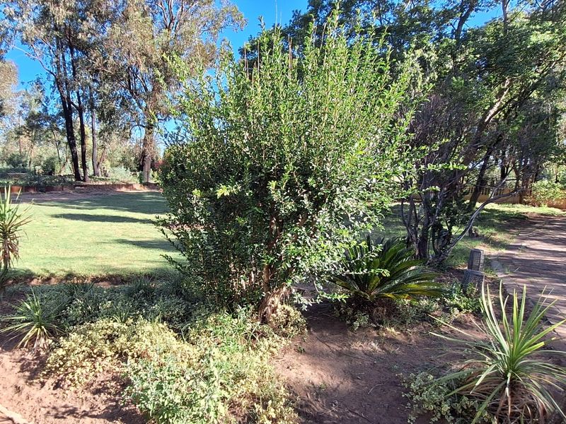 Smallholding in Vanderbijlpark area - Photo 8