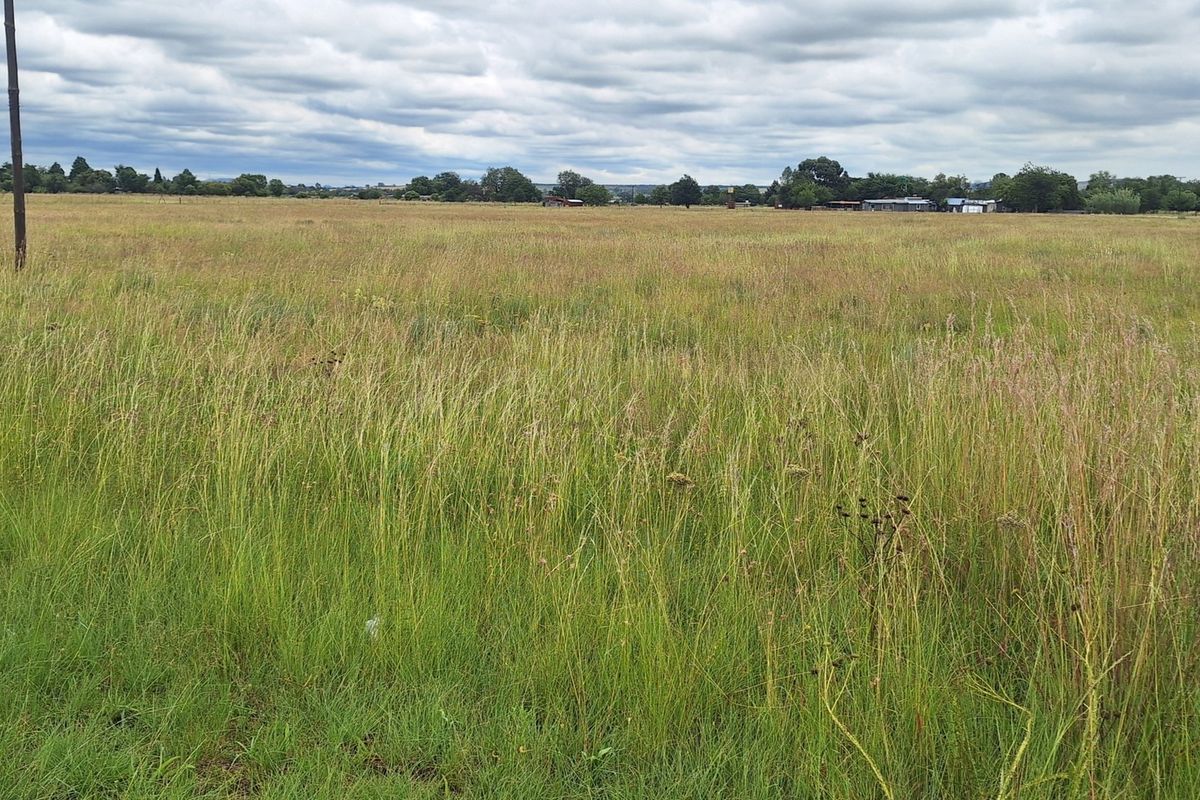 3 ha Smallholding in Vanderbijlpark area - Photo 2