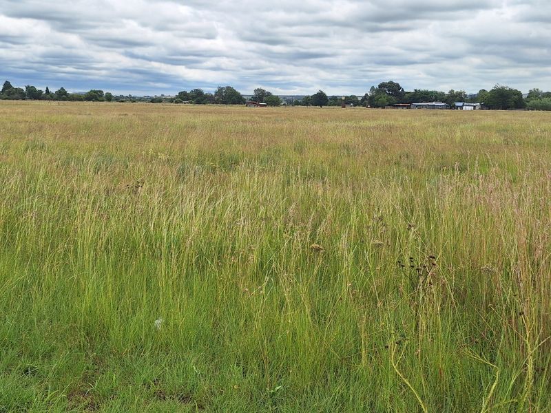 3 ha Smallholding in Vanderbijlpark area - Photo 2