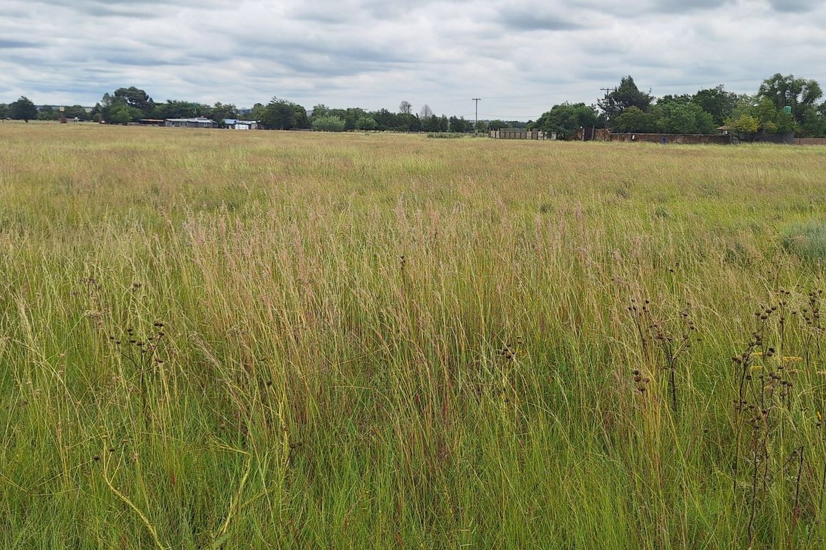 3 ha Smallholding in Vanderbijlpark area - Photo 3