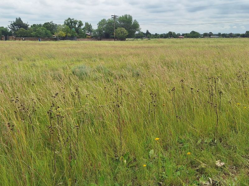 3 ha Smallholding in Vanderbijlpark area - Photo 4