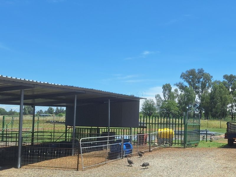 Smallholding near Vanderbijlpark town - Photo 6