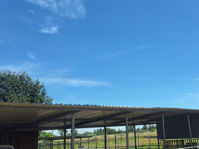 Smallholding near Vanderbijlpark town - Photo 7