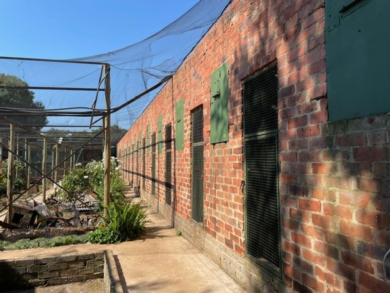 Exterior view of a long brick utility structure featuring multiple metal mesh enclosures and overhead netting, suitable for agricultural or animal housing purposes.