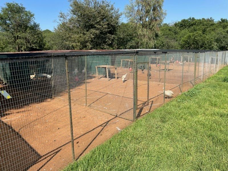 A large outdoor animal enclosure or aviary featuring wire mesh fencing, metal support posts, and a corrugated metal roof structure.