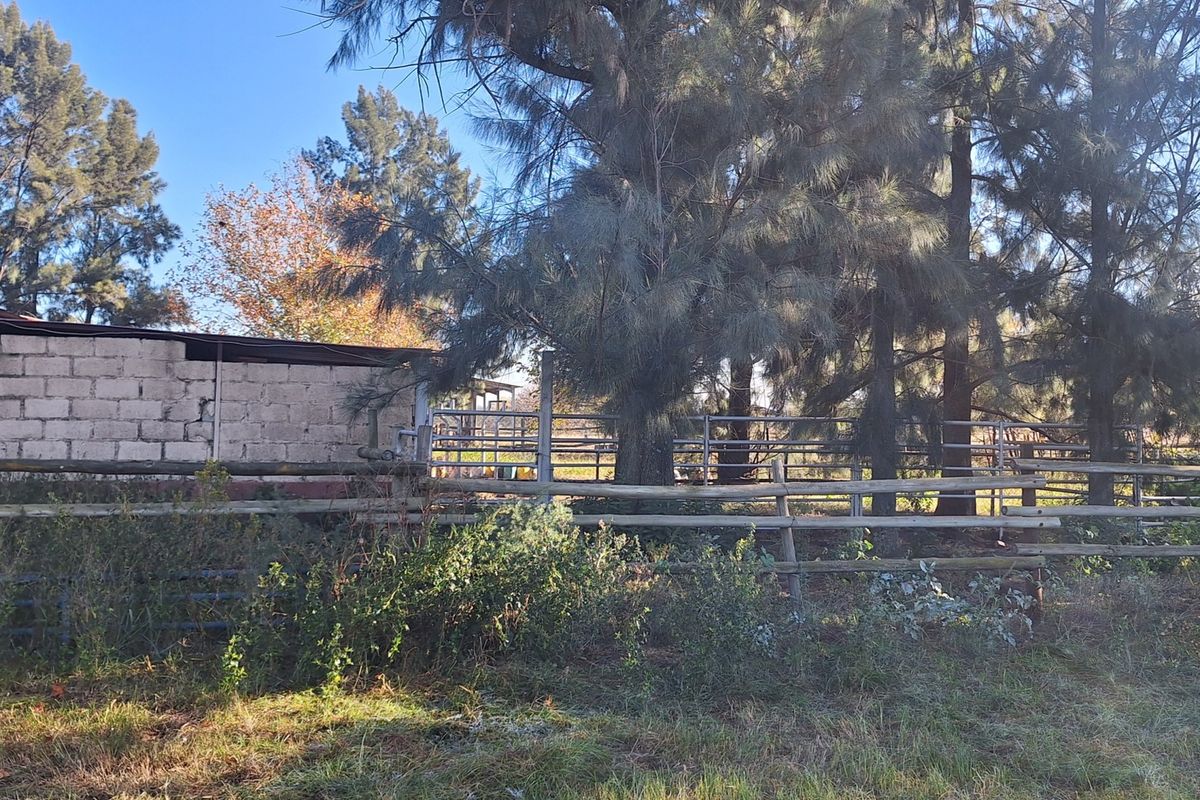 Outdoor area featuring a cinder block structure, timber and metal paddock fencing, and mature trees on the small holding property.