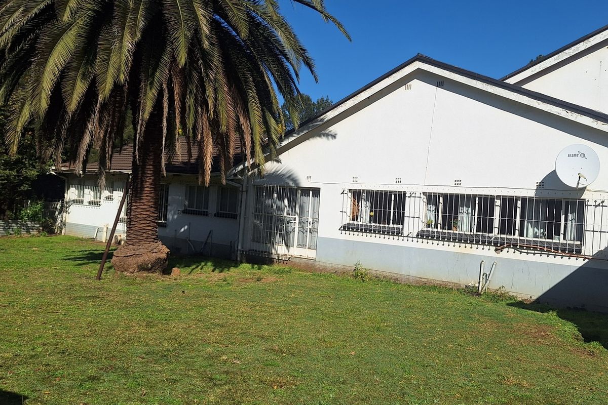 Rear view of the property showing the garden area, exterior walls with security bars, and a large palm tree.