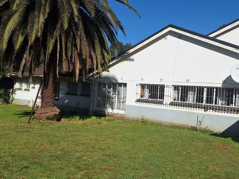 Rear view of the property showing the garden area, exterior walls with security bars, and a large palm tree.