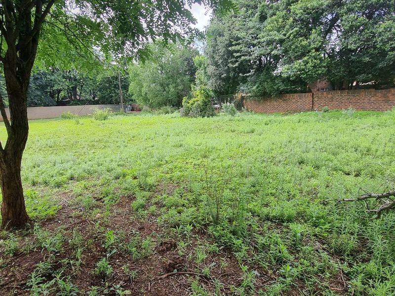 A spacious, overgrown residential vacant plot featuring mature trees and established brick boundary walls, offering a blank canvas for future development.