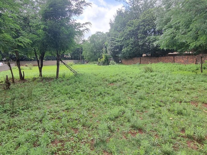A vacant residential plot featuring mature trees and enclosed by a perimeter brick wall, offering a private setting for future development.