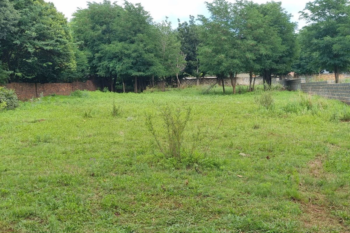 A vacant residential plot featuring established trees and perimeter boundary walls, offering a clear space for future development.