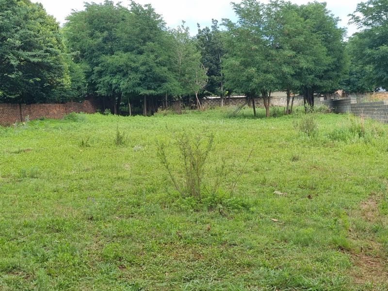 A vacant residential plot featuring established trees and perimeter boundary walls, offering a clear space for future development.