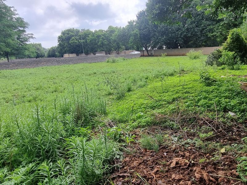 A view of the vacant residential land featuring a perimeter wall and established trees, offering a blank canvas for future development.