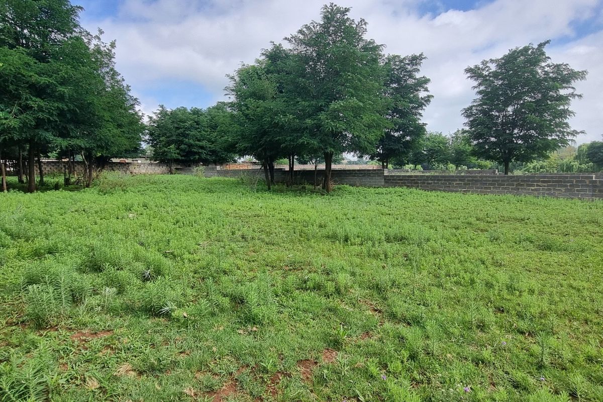 A vacant residential plot featuring established trees and a perimeter boundary wall, offering a clear space for future development.