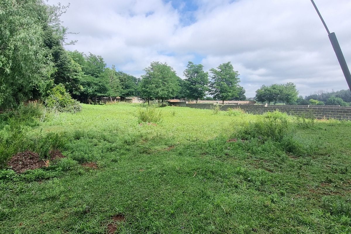 A spacious residential plot featuring a grass lawn, mature trees, and a perimeter boundary wall, offering potential for development.