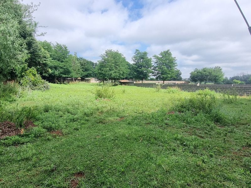 A spacious residential plot featuring a grass lawn, mature trees, and a perimeter boundary wall, offering potential for development.
