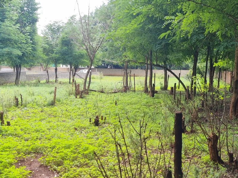 A vacant residential plot featuring mature trees and a perimeter boundary wall, offering a natural setting for future development.