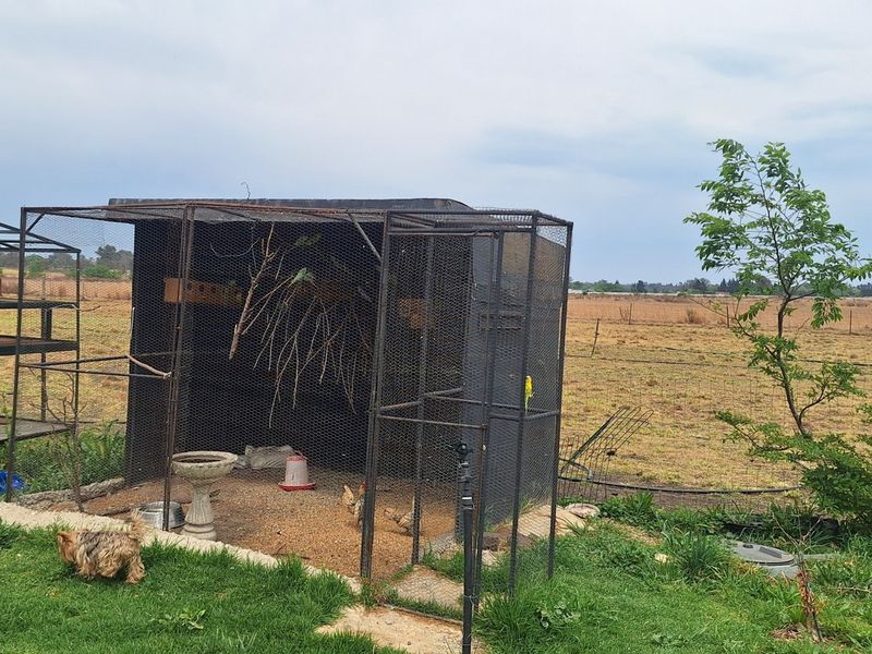 Outdoor wire mesh enclosure and metal frame structure situated in a rural garden setting.