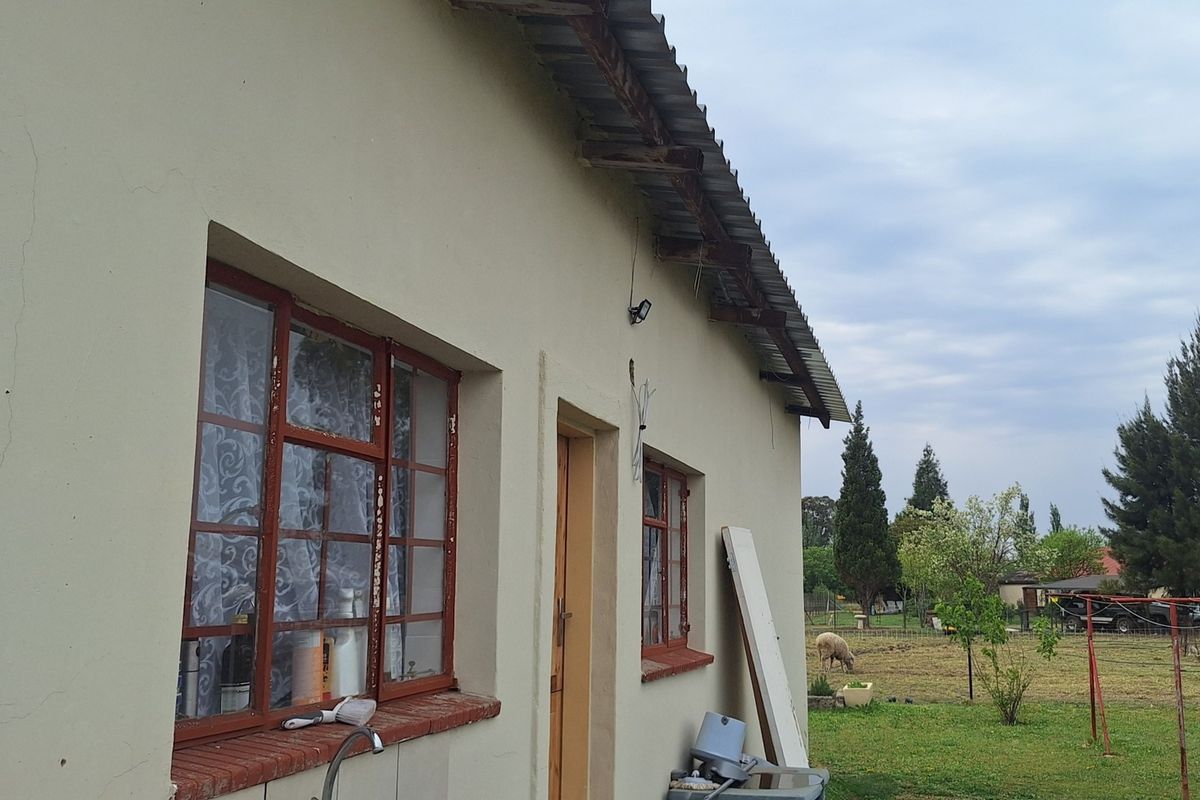 Rear exterior view of the property showing the building facade, steel window frames, and corrugated metal roofing with visible signs of wear.