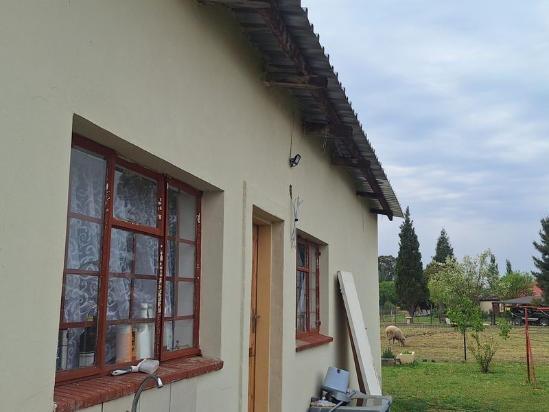 Rear exterior view of the property showing the building facade, steel window frames, and corrugated metal roofing with visible signs of wear.
