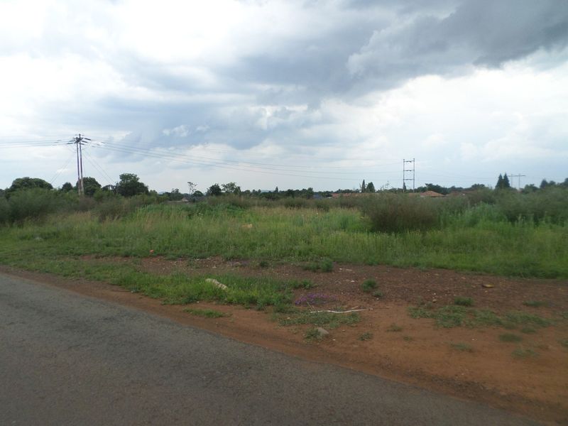 A vacant residential plot of land featuring natural vegetation, accessible from the adjacent paved road with visible utility infrastructure.