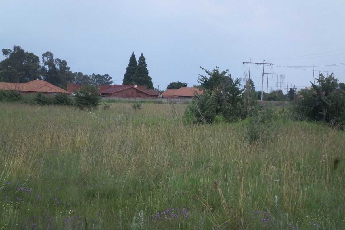 A view of a vacant residential plot featuring overgrown grass and surrounding neighborhood infrastructure.