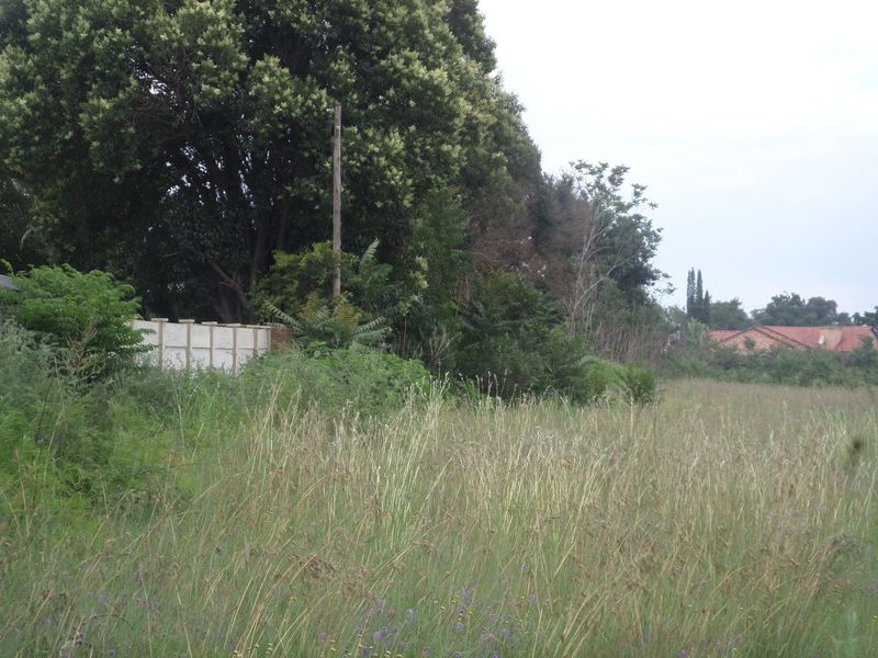 A view of a vacant residential plot featuring overgrown grass, mature trees, and a precast concrete boundary wall.