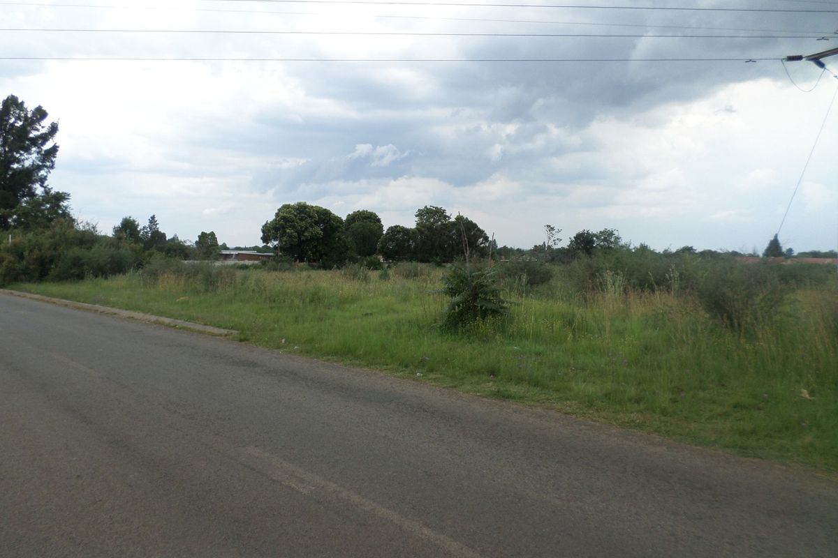 A view of the vacant residential land from the adjacent asphalt road, featuring natural vegetation and overhead power lines.