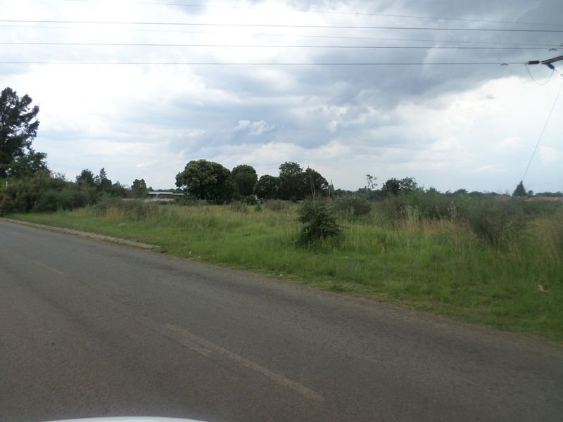 A view of the vacant residential land from the adjacent asphalt road, featuring natural vegetation and overhead power lines.