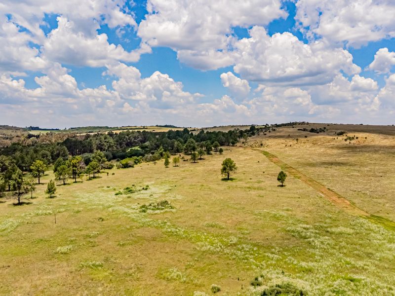 An aerial view of the expansive farm landscape, showcasing open fields, natural vegetation, and mature trees under a bright blue sky.