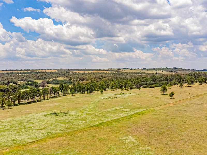 An aerial view of the expansive farm property featuring open grazing pastures and established tree lines under a bright sky.