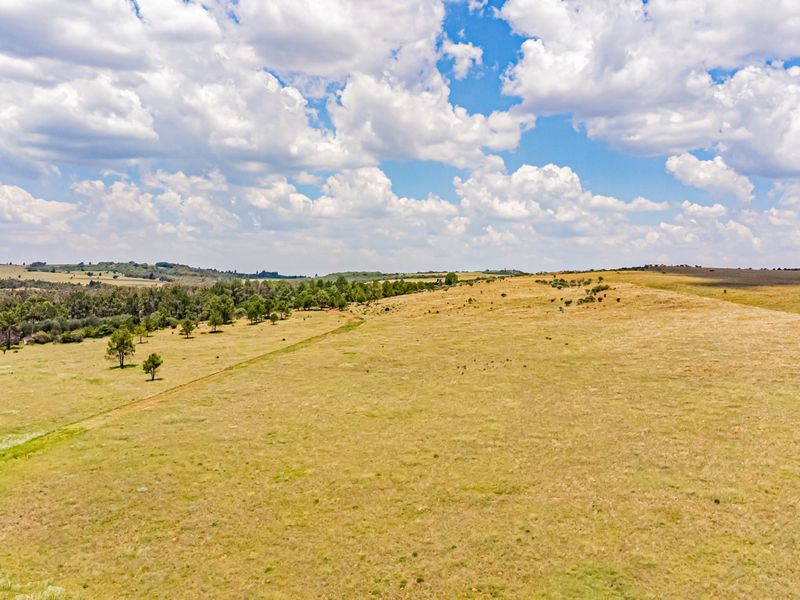 An aerial view of the expansive farm property, showcasing open grazing pastures, natural vegetation, and established tree lines under a clear sky.