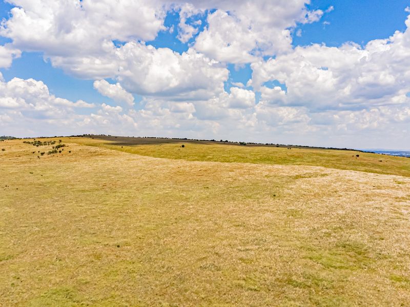 An expansive aerial view of open farm pasture land under a clear blue sky.