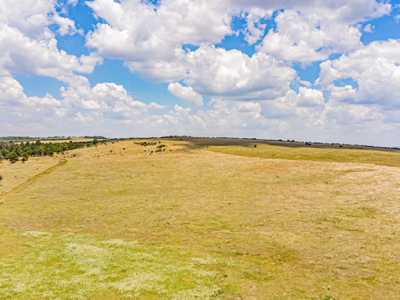 An aerial view of the expansive farm property featuring open grazing pastures and natural landscape.