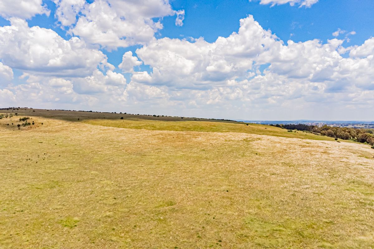 An expansive aerial view of the open farm landscape, showcasing the vast, rolling grassy terrain under a bright, cloudy sky.