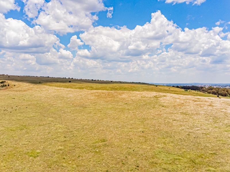 An expansive aerial view of the open farm landscape, showcasing the vast, rolling grassy terrain under a bright, cloudy sky.