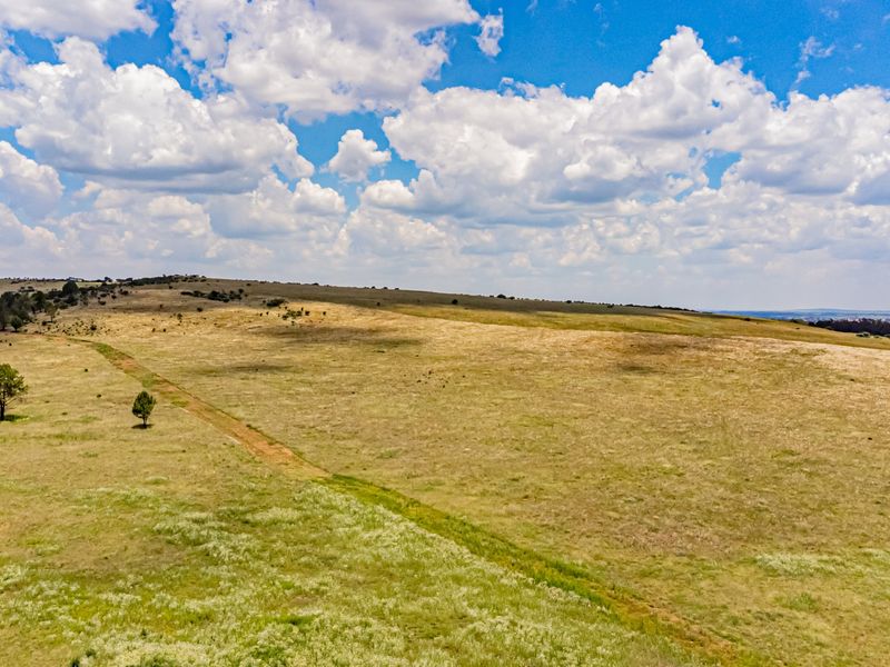 An aerial view of expansive, open farm land featuring natural grasslands and a dirt access track under a clear blue sky.