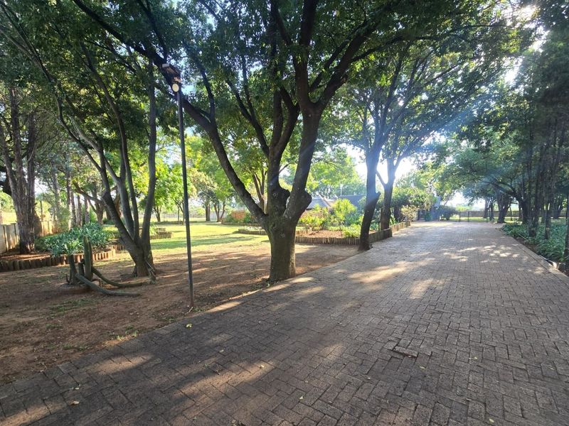 A spacious, well-established garden area featuring a paved driveway, mature trees, and neat landscaping with retaining log borders.