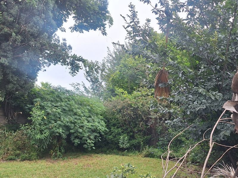 A lush, established garden area featuring mature trees, greenery, and a lawn, providing a private outdoor space.