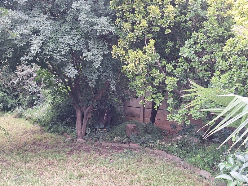 A private garden area featuring mature trees, established shrubs, and a precast concrete boundary wall with brick edging.