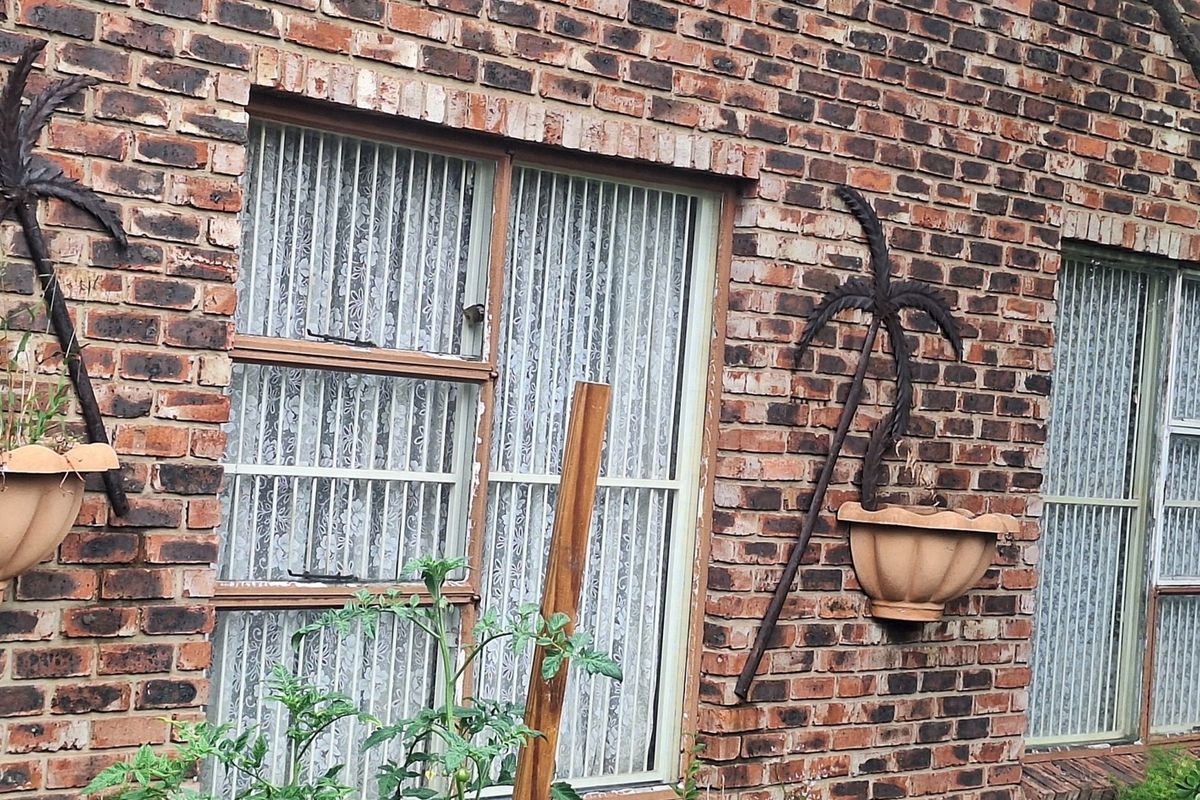 A view of the rear exterior brick facade featuring aluminium framed sliding windows and decorative wall-mounted planters.