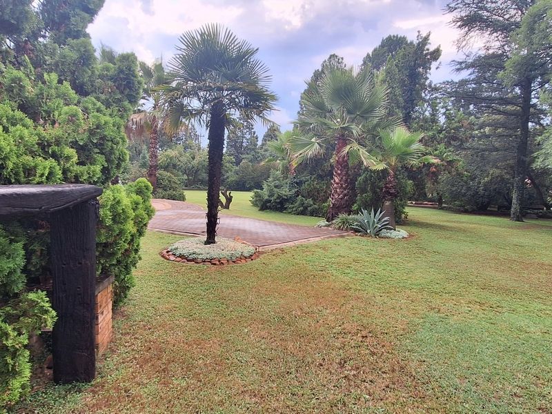 A well-maintained, expansive garden area featuring mature palm trees, established greenery, and a paved driveway leading through the property grounds.